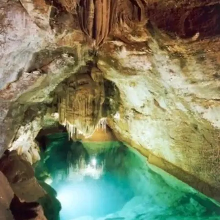 Tiny House Cosy Appartement *