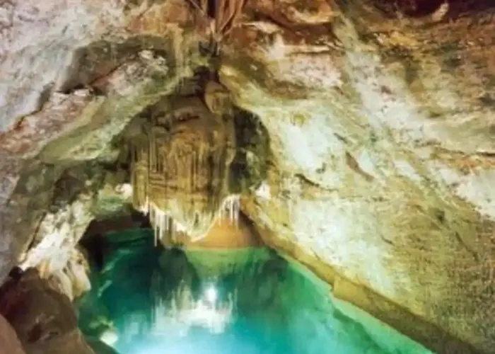 Tiny House Cosy Apartamento *